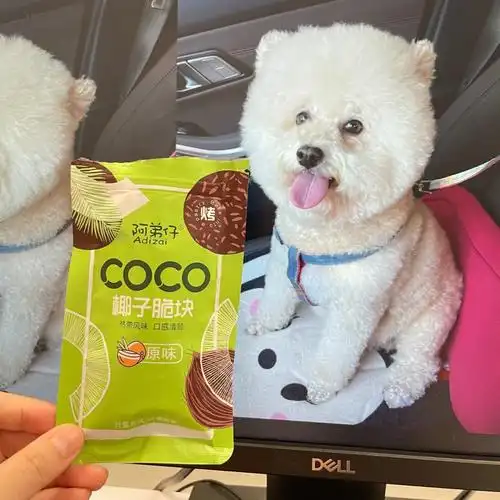 阿弟仔椰子脆块73