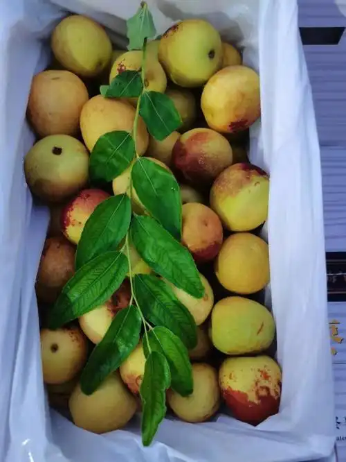 农产品价格的界定,行情和风味占主要因素,大荔冬枣10斤里才出3斤火星