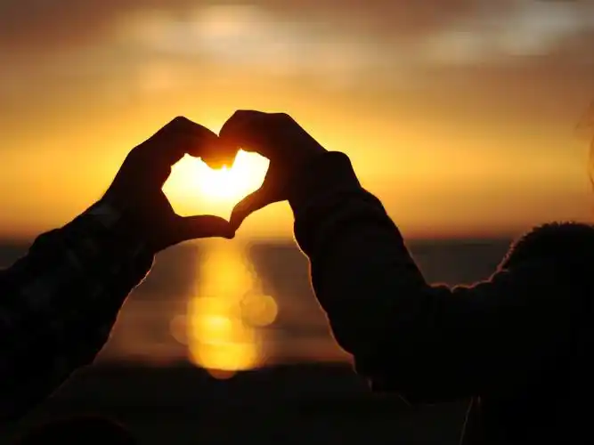 家庭相处之道:轮流低头,创造温馨和谐的家庭