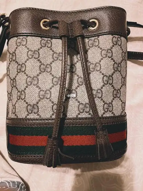 求大神鉴定一下古驰水桶包