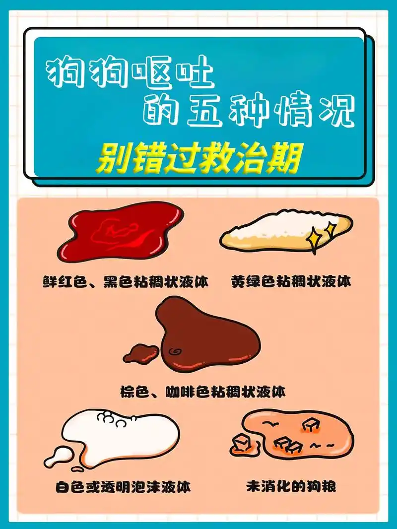 狗狗呕吐的5种情况,别错过救治期!