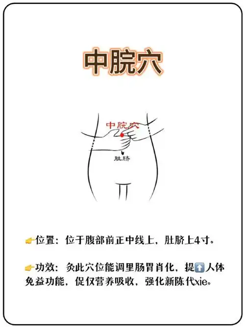 艾灸除湿穴位|你了解几个?