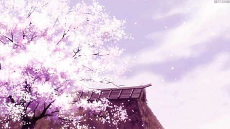 500_281gif 动态图 动图