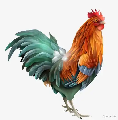 卡通彩色大公鸡png素材透明免抠图片动植人物