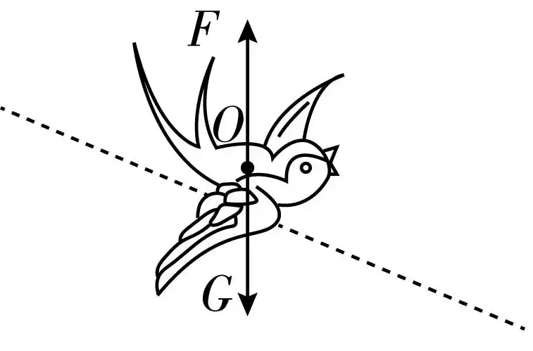 (o点为重心)图5_百度教育