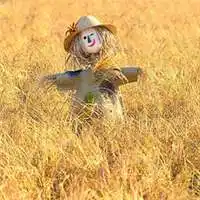 黑白稻草人图片头像【点击鼠标右键下载】