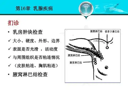 腋窝淋巴结检查
