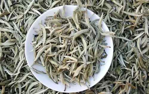 太白银毫的品鉴方法太白银毫口感如何