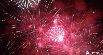 400_213gif 动态图 动图