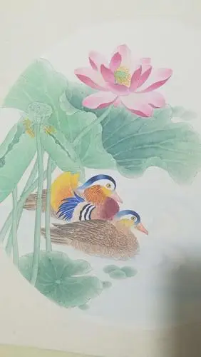 荷花鸳鸯图完成