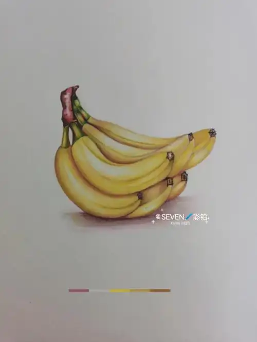 一年四季早餐都会有的水果彩铅绘香蕉