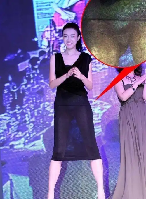 柳岩杨幂刘诗诗林志玲 2012年女星香艳走光大集合/图