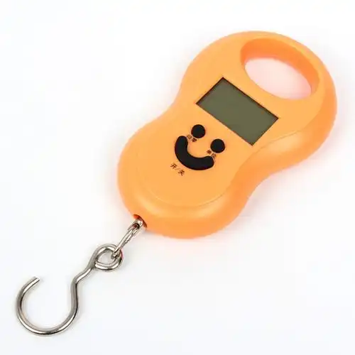 今选迷你便携式手提电子秤50kg