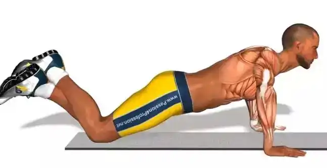 胸肌锻炼:跪姿俯卧撑动作分解