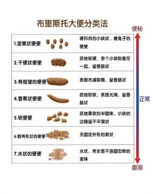 可以对比一下,自己每天的排便是否正常