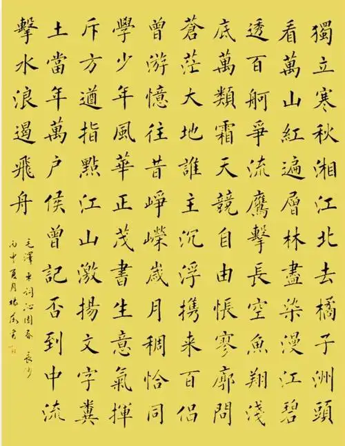 杨薇书法作品  《沁园春.长沙》