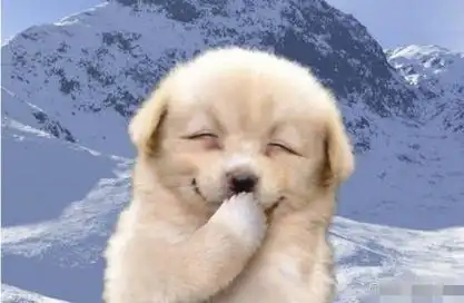 萌宠笑啦 - 斗图表情包 - 斗图神器 - adoutu.com