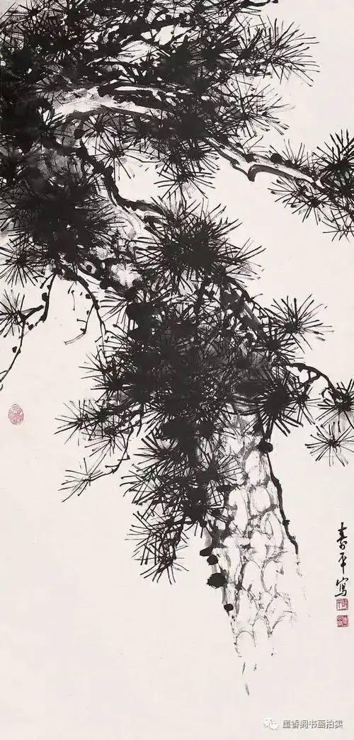 名家董寿平演示画松视频!