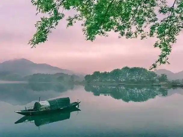 已亥杂诗的意思 诗意(已亥杂诗的意思诗意20字)_大全-幸福起航