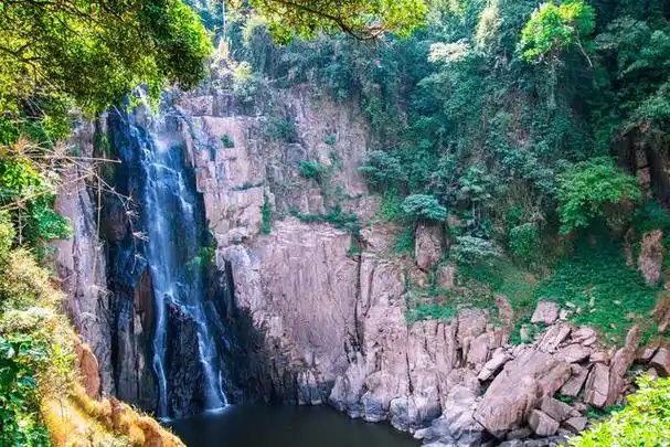 新一届洛阳牡丹花会即将到来,这份攻略一定收好!四日游行程分享