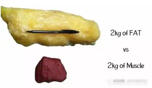 减肥的人,牢记5个字"2要,2不要",2个月减掉5斤脂肪