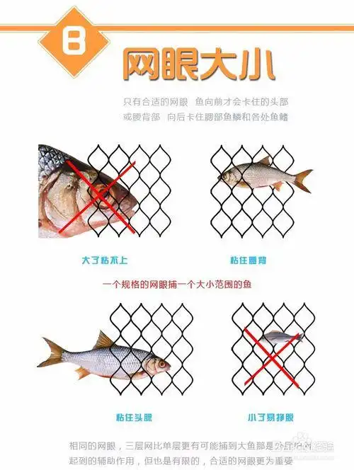 渔网-粘网:粘网捕鱼技巧