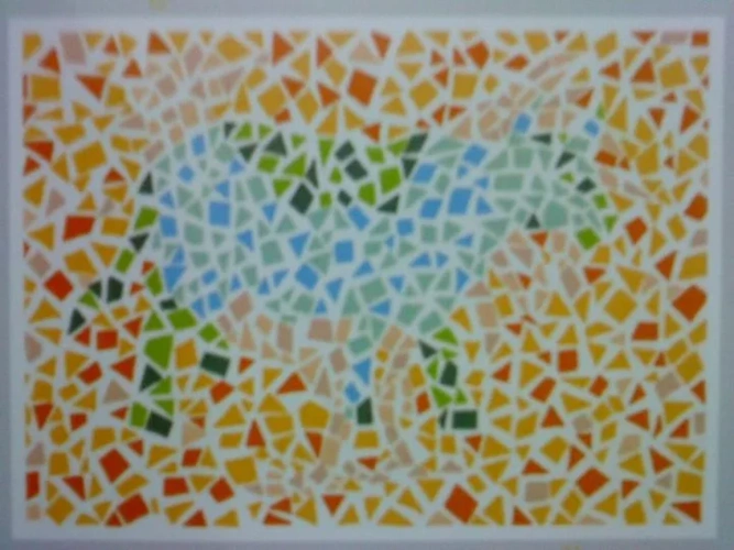 色觉检查图伪科学,为什么?