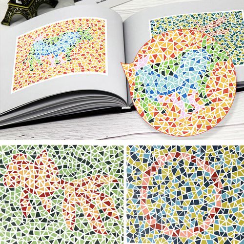 驾照驾驶证测色盲图测试图册本图谱辨色医院体检色卡书全套红绿驾考