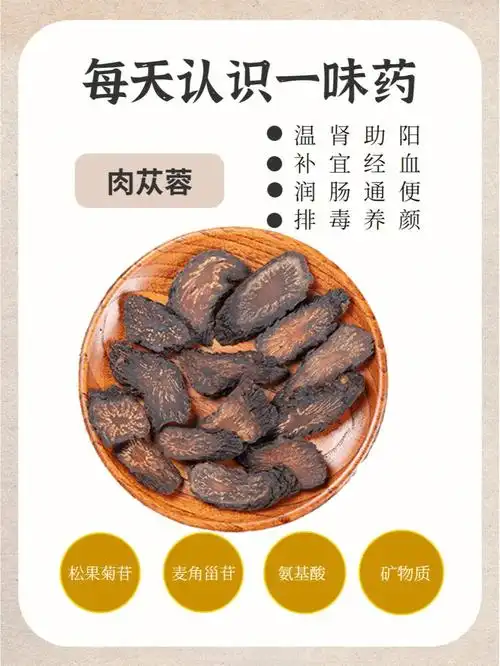 肉苁蓉温肾助阳润肠通便排毒养颜