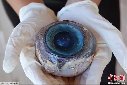 美国佛州海滩现神秘蓝色大眼睛