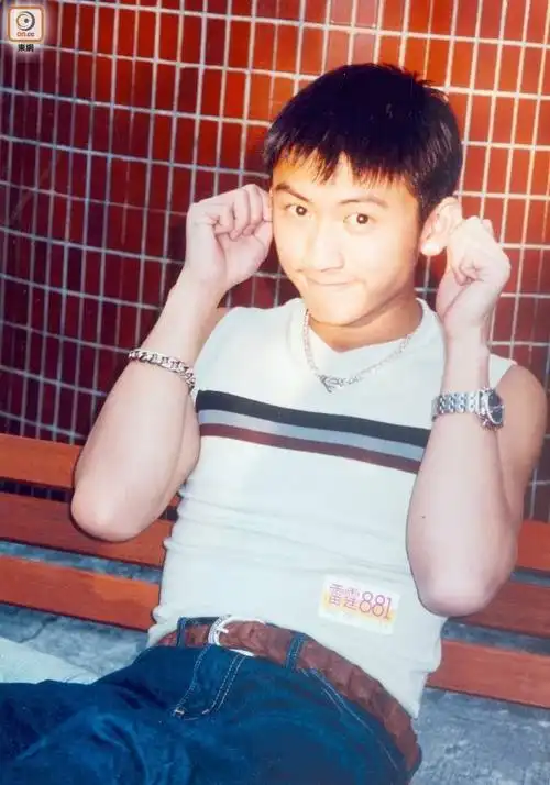 光影图集 | 谢霆锋相册未出道 初出道照片