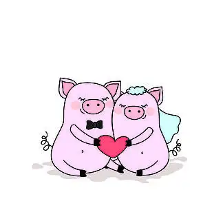 i>一 /i> i>对 /i>相爱的 i>猪 /i>,两只可爱的心脏动物,在白色背景