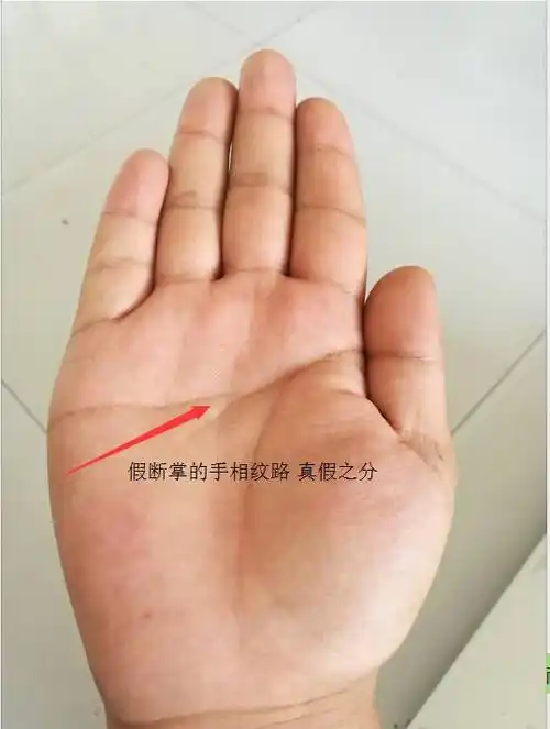 断掌男人的自白真假断掌如何分自己都不知道看过不后悔