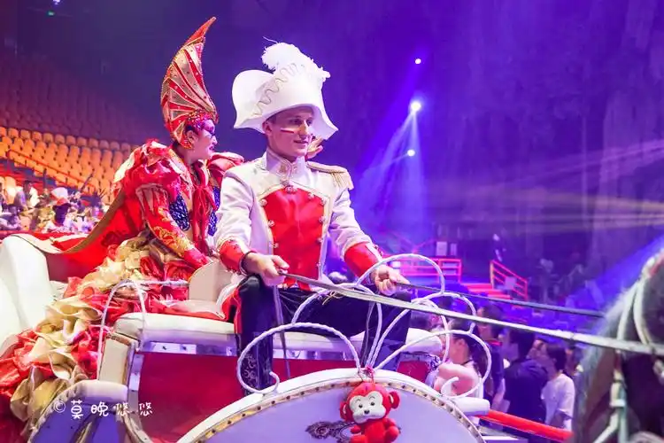 小丑们诙谐的动作太好玩了~长隆国际大马戏观看小tips:1,如何选座位?