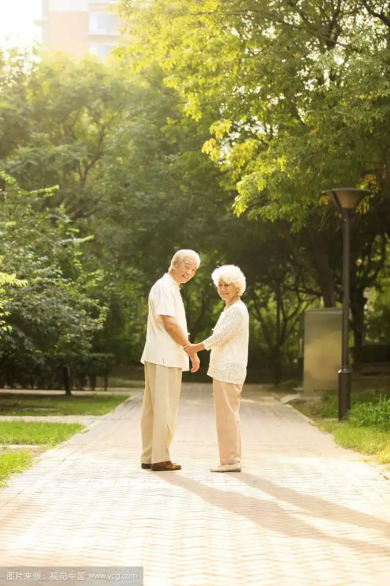 夕阳下相伴的老年伴侣
