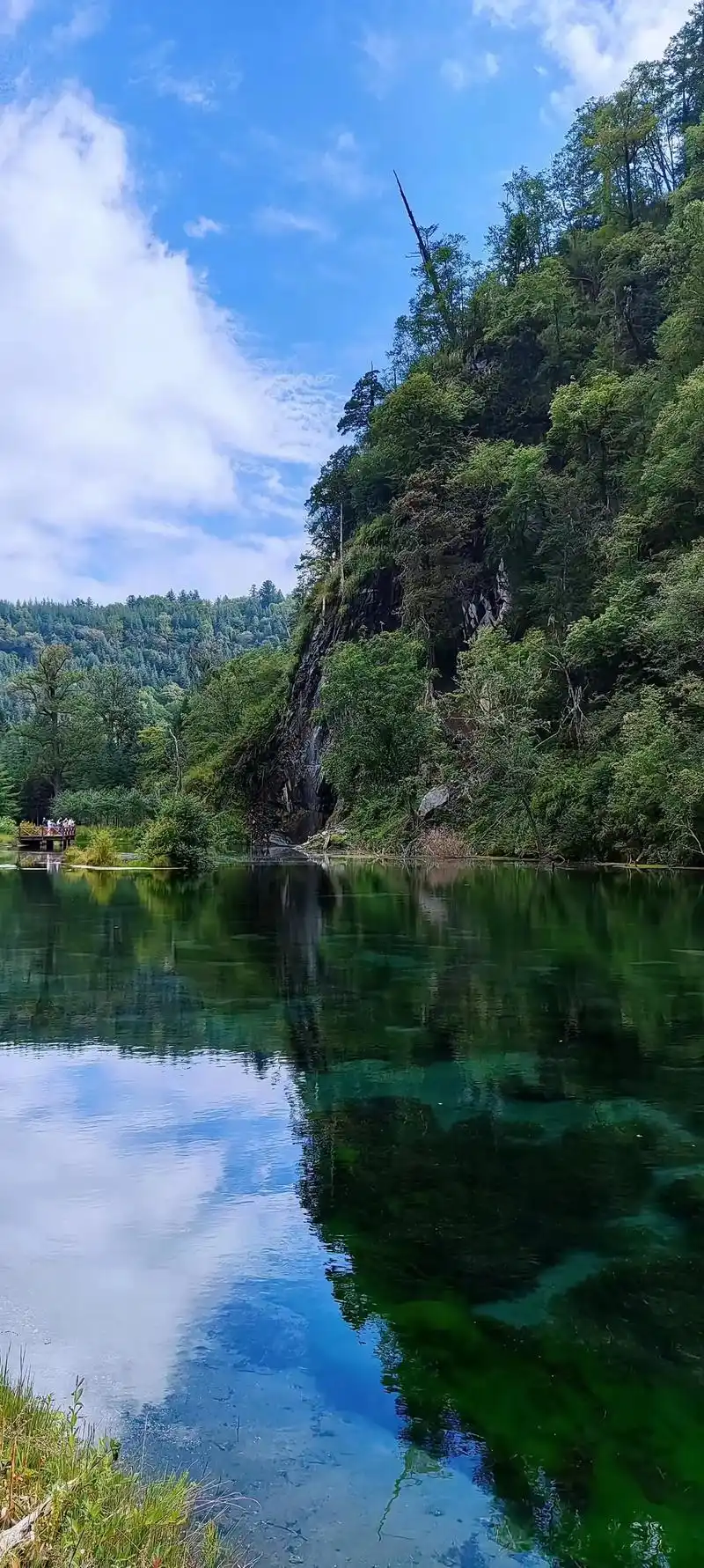 甘南自驾游第十二站:毕棚沟.毕棚沟风景区,位于四川省阿坝藏族 - 抖音