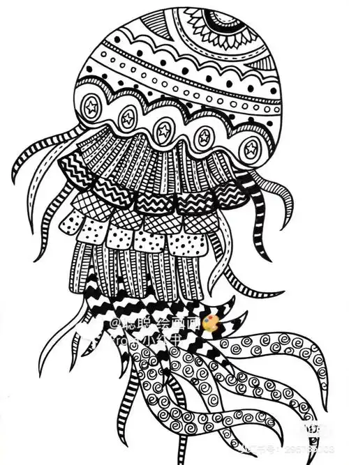 50种创意线描,用简单的笔画出超精美的画作,颜值好看又耐看