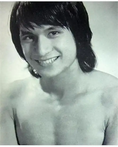 功夫巨星傅声29岁遭遇车祸身亡,案件离奇,四年后妻子为其生子