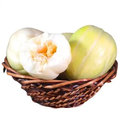 东北香瓜农家脆甜小甜瓜2kg新