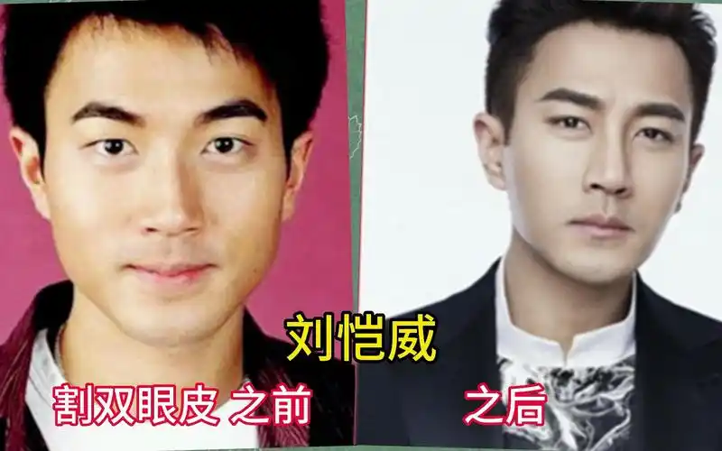割双眼皮的12位男明星,刘恺威张家辉上榜,你看哪位是最成功的?