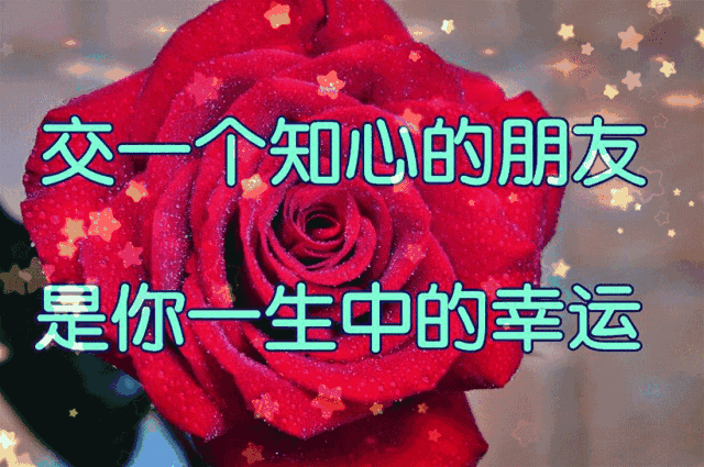 640_425gif 动态图 动图