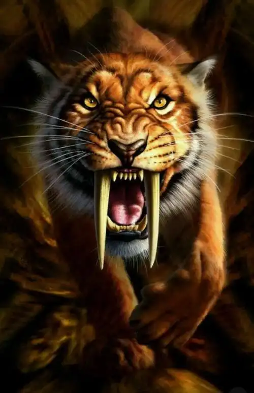 曾经横行美洲的剑齿虎,为什么一万多年前突然灭绝?