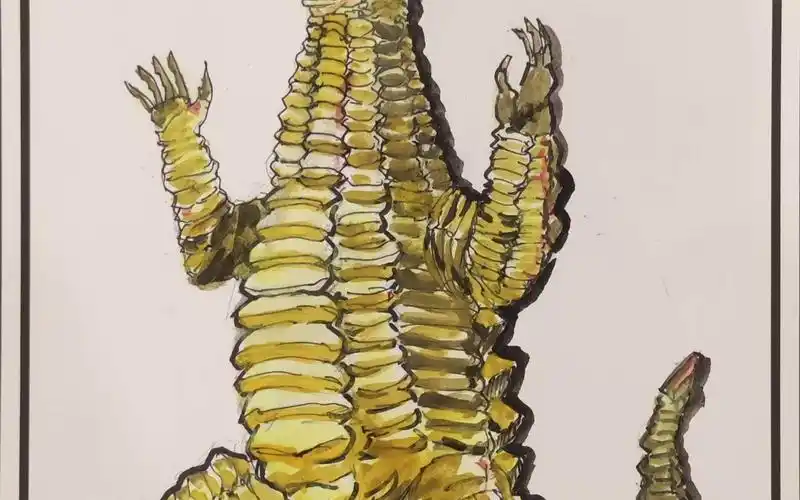 手绘骷髅怪兽雷德王