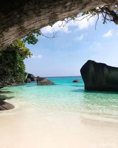 640_800竖版 竖屏