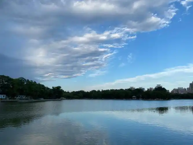 公园里等雨9715,天半晴半阴,雨9715如约而至,不多时夕阳昏黄