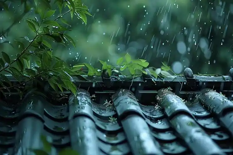 简约春天下雨的屋檐素材图