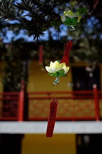 寺庙内的许愿莲花灯