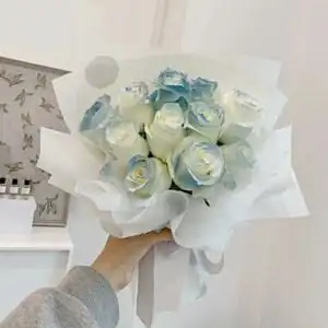 抖音同款密西根碎冰蓝渐变蓝白玫瑰圣诞情人节生日长沙鲜花同城
