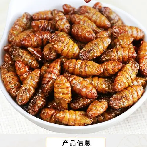 油炸熟蚕蛹子 即食香酥蚕蛹 厂家直销80克/袋 40袋/箱香炸蚕蛹