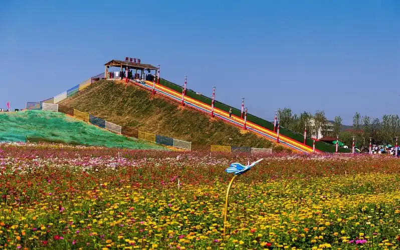 驱车前往常德桃源县(枫树维吾尔族回族乡)枫林花海观景赏花